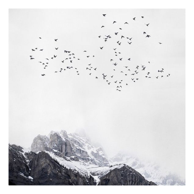 Tavlor landskap Flock Of Birds In Front Of Mountains Black And White