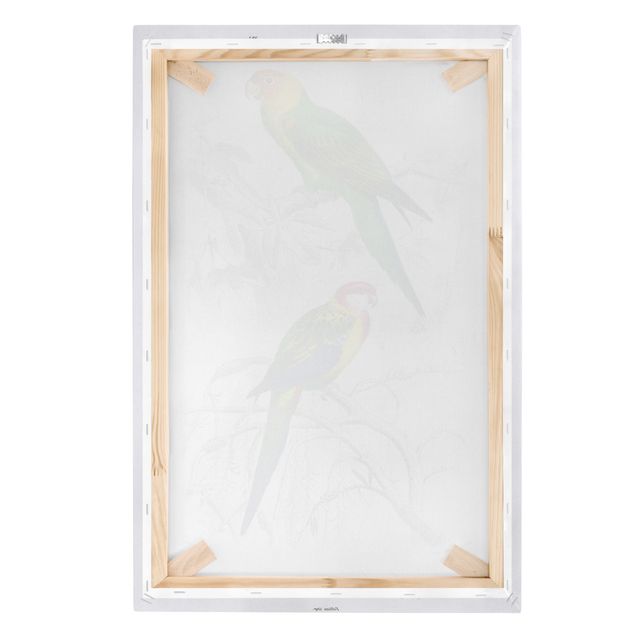 Tavlor Vintage Wall Chart Two Parrots Green Red
