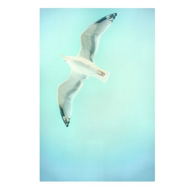 Canvastavlor djur Blue Sky With Seagull
