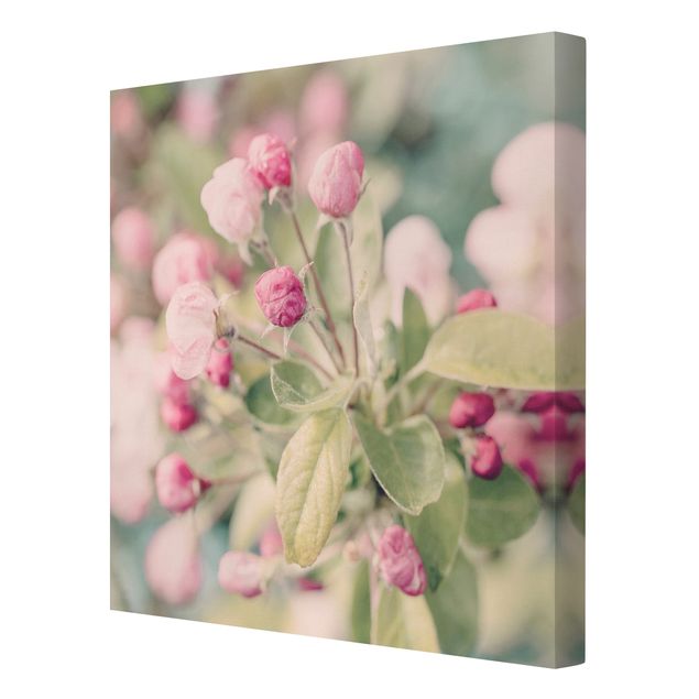 Tavlor Andrea Haase Apple Blossom Bokeh Light Pink