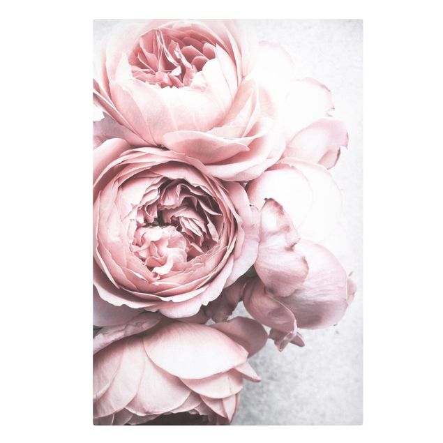 Tavlor blommor  Light Pink Peony Flowers Shabby Pastel