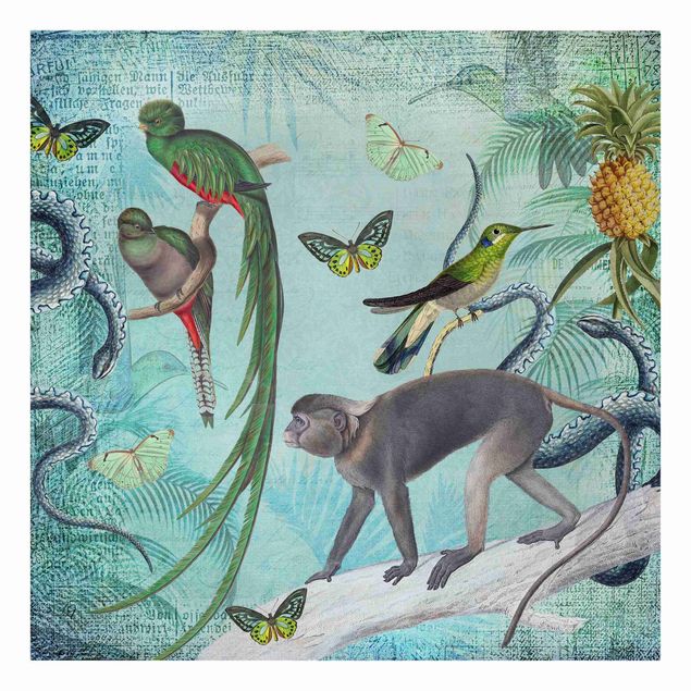Canvastavlor fåglar Colonial Style Collage - Monkeys And Birds Of Paradise