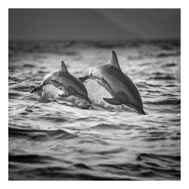 Canvastavlor djur Two Jumping Dolphins