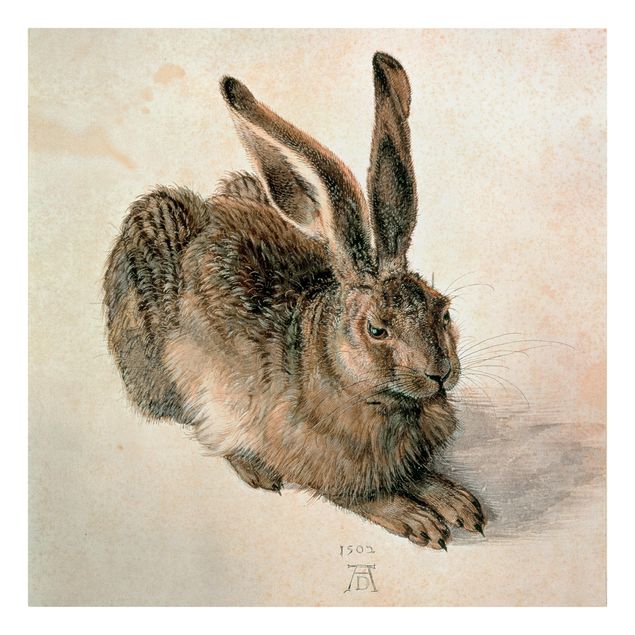 Tavlor konstutskrifter Albrecht Dürer - Young Hare