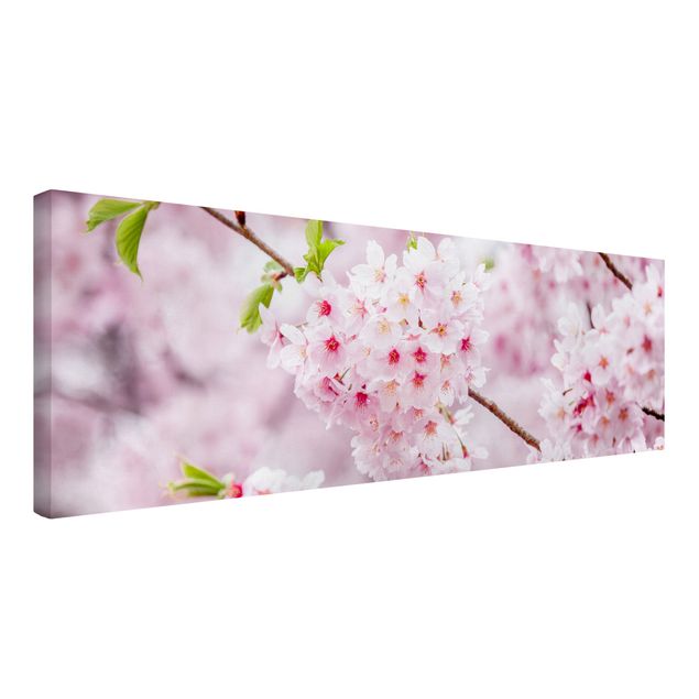 Canvastavlor Arkitektur och Skyline Japanese Cherry Blossoms