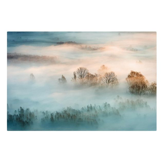 Canvastavlor landskap Fog At Sunrise