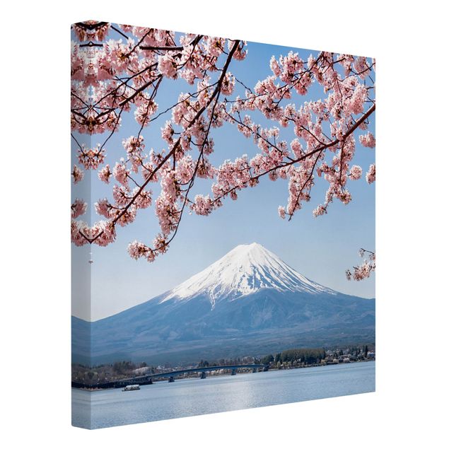 Canvastavlor bergen Cherry Blossoms With Mt. Fuji