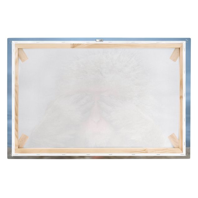 Tavlor brun Japanese Macaque