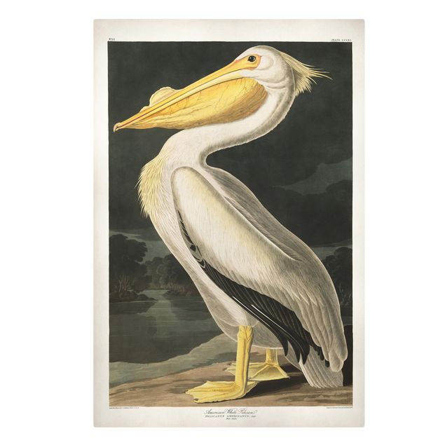 Tavlor retro Vintage Board White Pelican