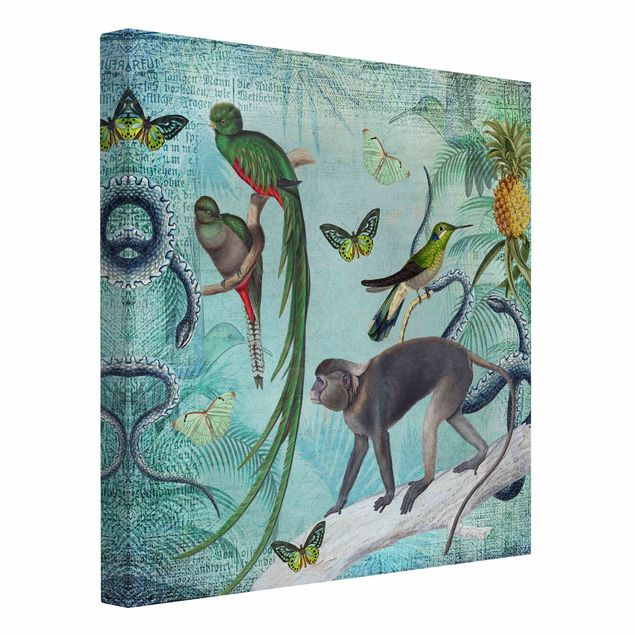 Canvastavlor schemtterlings Colonial Style Collage - Monkeys And Birds Of Paradise