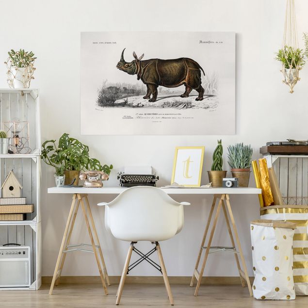 Canvastavlor Afrika Vintage Board Rhino