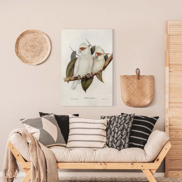 Canvastavlor fåglar Vintage Illustration White Cockatoo