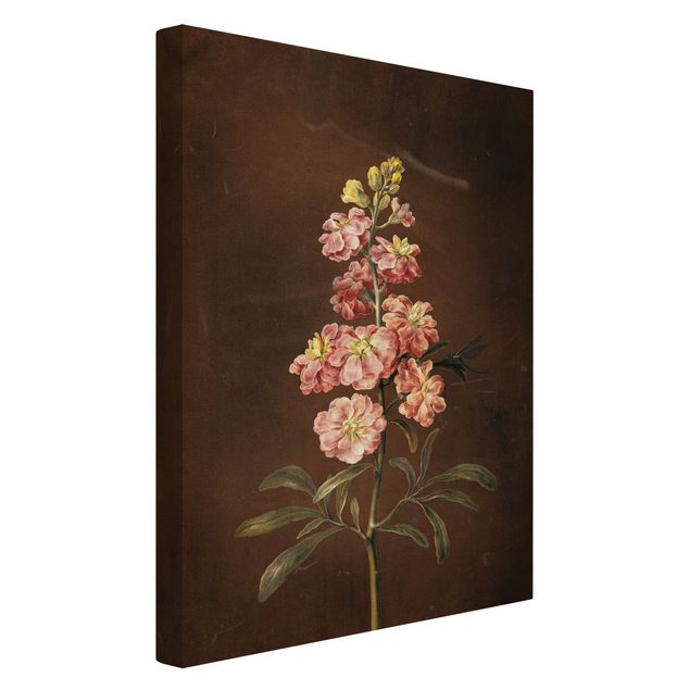 Canvastavlor blommor  Barbara Regina Dietzsch - A Light Pink Gillyflower