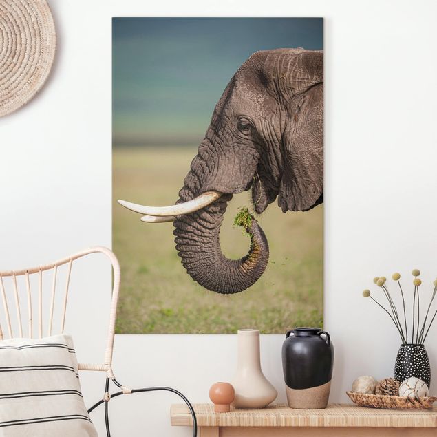 Canvastavlor elefanter Feeding Elephants In Africa