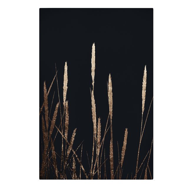Tavlor blommor Graphical Plant World - Golden Reed