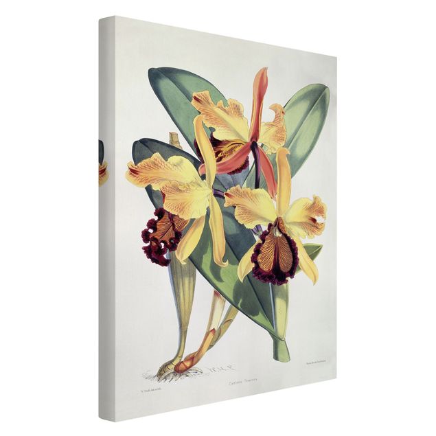 Konstutskrifter Walter Hood Fitch - Orchid
