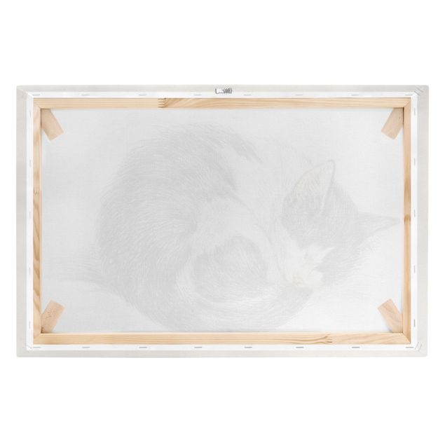 Tavlor svart och vitt Vintage Drawing Cat II