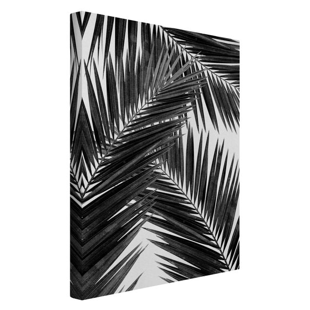Canvastavlor svart och vitt View Through Palm Leaves Black And White