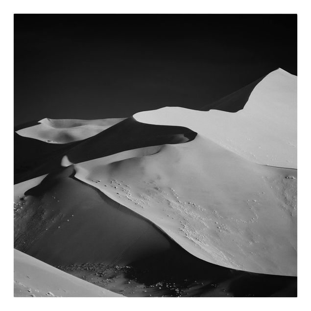 Canvastavlor svart och vitt Desert - Abstract Dunes