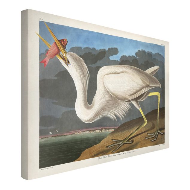 Canvastavlor fåglar Vintage Board Great White Egret