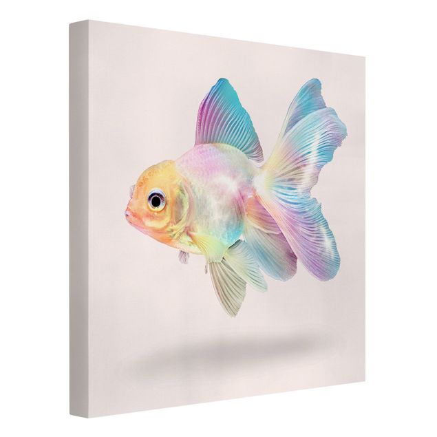 Canvastavlor konstutskrifter Fish In Pastel