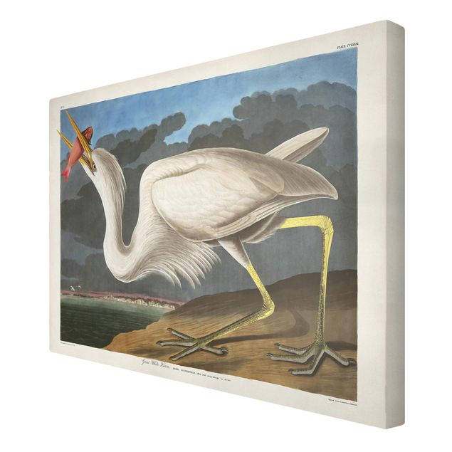 Canvastavlor djur Vintage Board Great White Egret