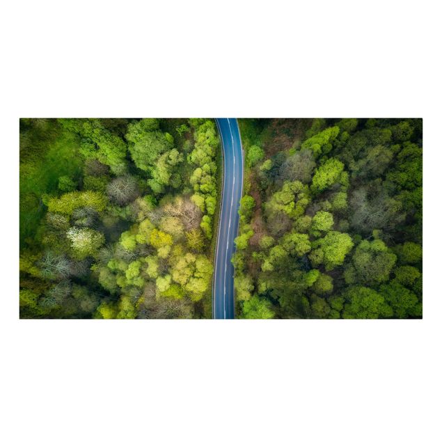 Canvastavlor skogar Aerial View - Asphalt Road In The Forest