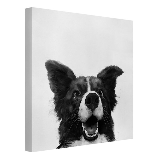 Canvastavlor svart och vitt Illustration Dog Border Collie Black And White Painting