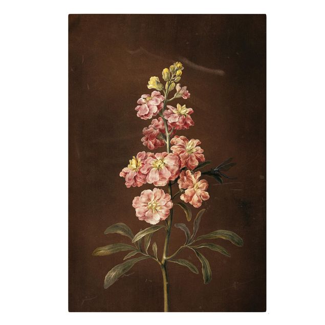 Tavlor blommor Barbara Regina Dietzsch - A Light Pink Gillyflower