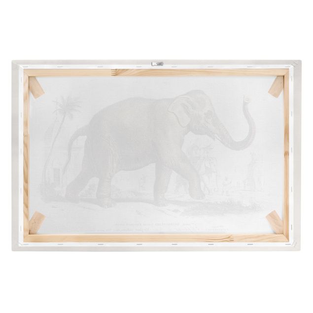 Canvastavlor djur Vintage Board Elephant