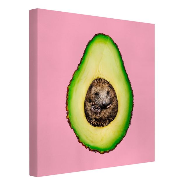 Canvastavlor konstutskrifter Avocado With Hedgehog