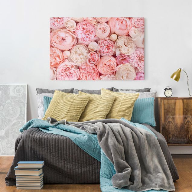 Canvastavlor blommor  Roses Rosé Coral Shabby