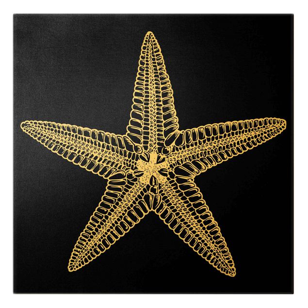Tavlor svart Illustration Starfish On Black