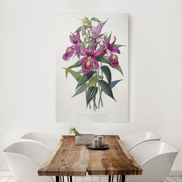 Canvastavlor orkidéer Maxim Gauci - Orchid I