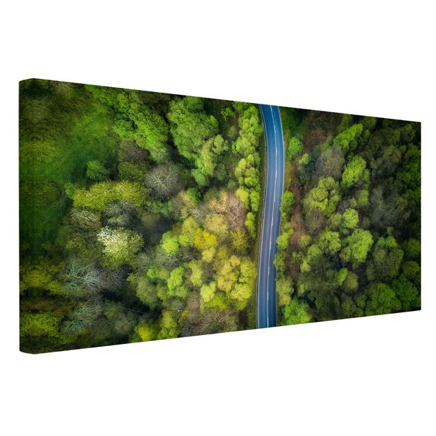 Canvastavlor landskap Aerial View - Asphalt Road In The Forest