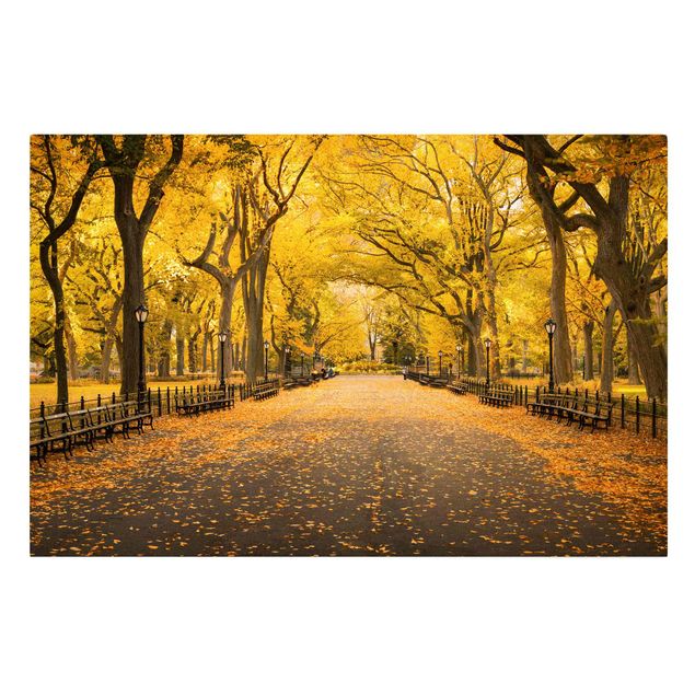 Tavlor arkitektur och skyline Autumn In Central Park