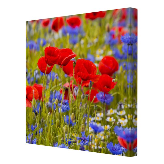 Tavlor blommor  Summer Meadow With Poppies And Cornflowers