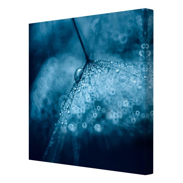 Tavlor blå Blue Dandelion In The Rain