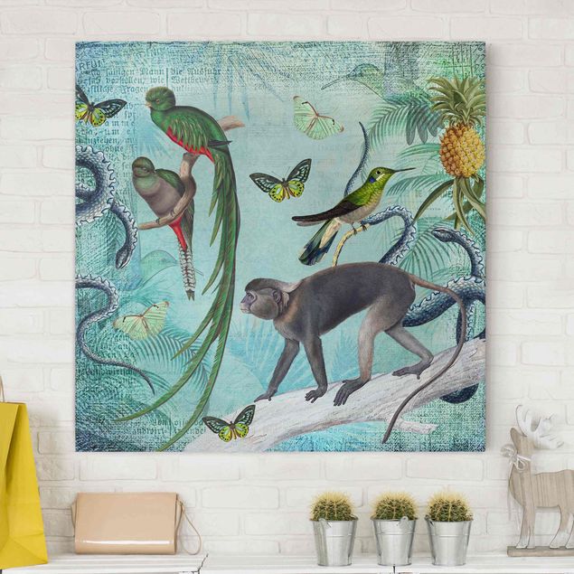 Canvastavlor apor Colonial Style Collage - Monkeys And Birds Of Paradise