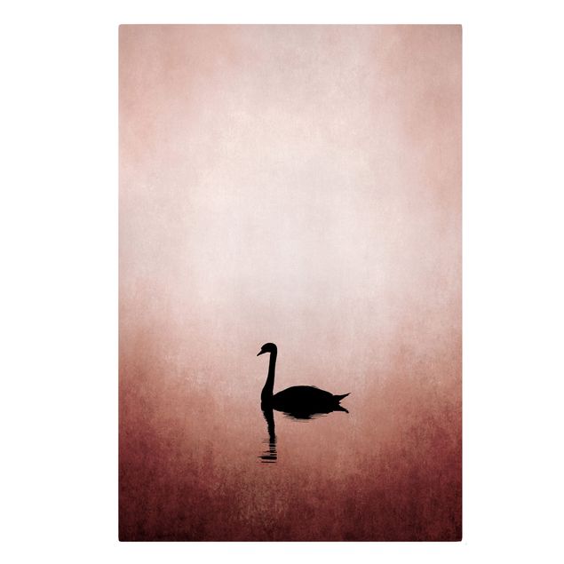Canvastavlor konstutskrifter Swan In Sunset