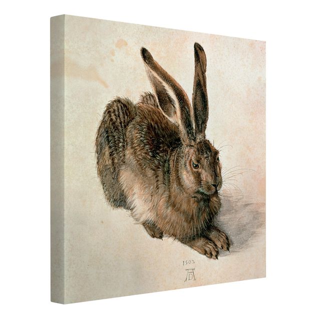 Canvastavlor konstutskrifter Albrecht Dürer - Young Hare