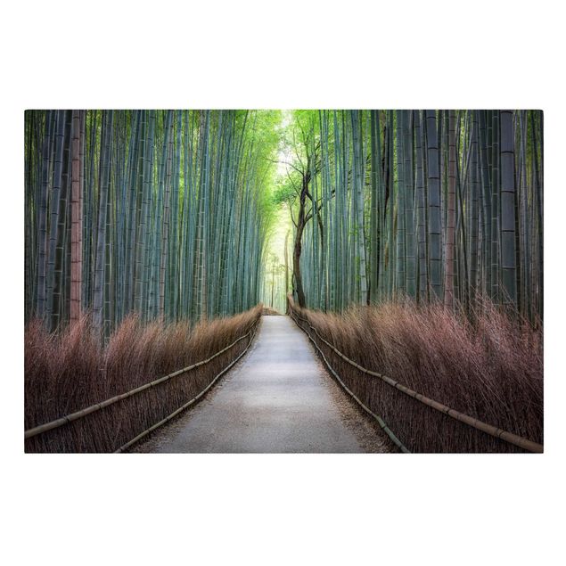 Canvastavlor Arkitektur och Skyline The Path Through The Bamboo