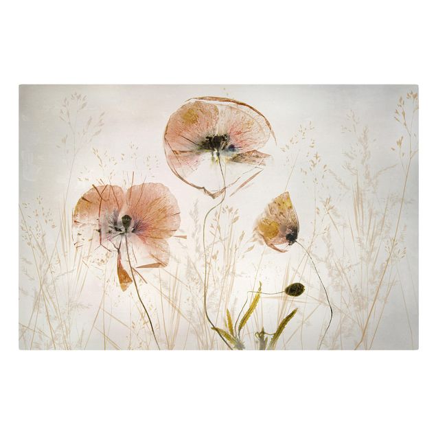 Canvastavlor blommor  Dried Poppy Flowers With Delicate Grasses