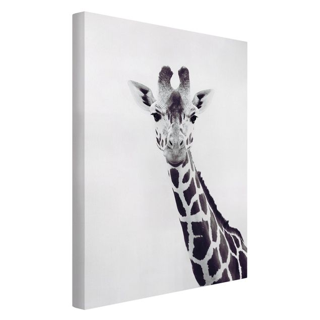 Canvastavlor svart och vitt Giraffe Portrait In Black And White