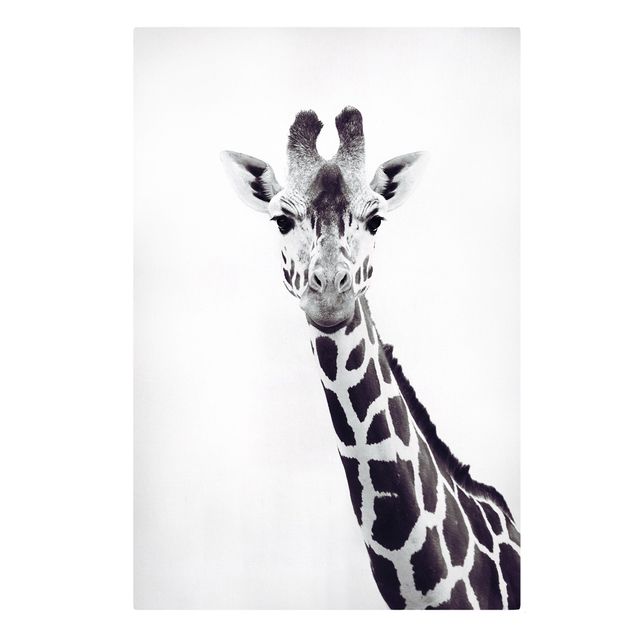 Canvastavlor djur Giraffe Portrait In Black And White
