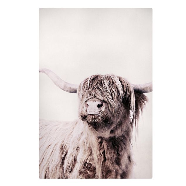 Tavlor svart och vitt Highland Cattle Frida In Beige