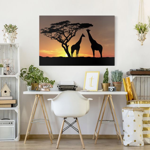 Tavlor giraffer African Sunset