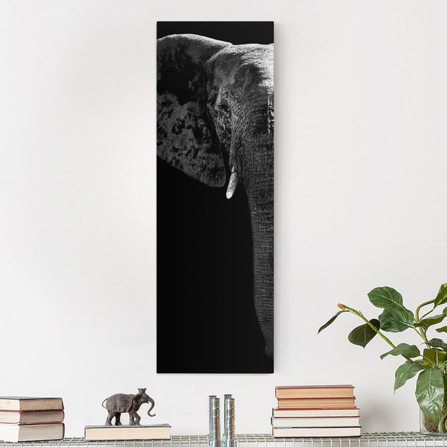Canvastavlor elefanter African Elephant black and white