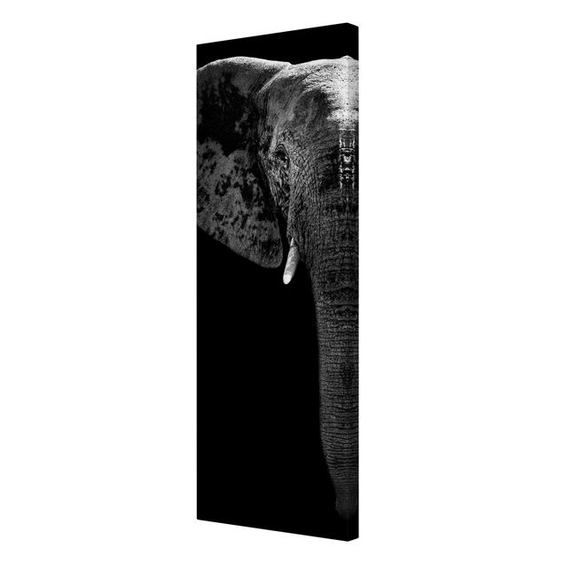 Canvastavlor djur African Elephant black and white