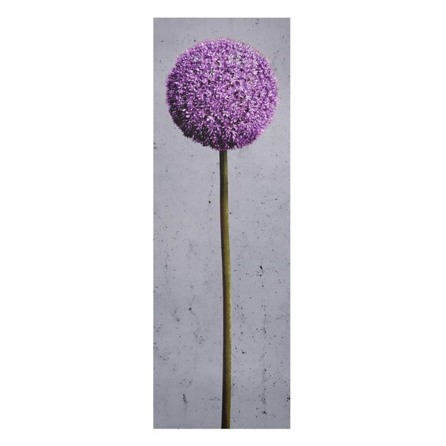 Tavlor Allium Round-Headed Flower
